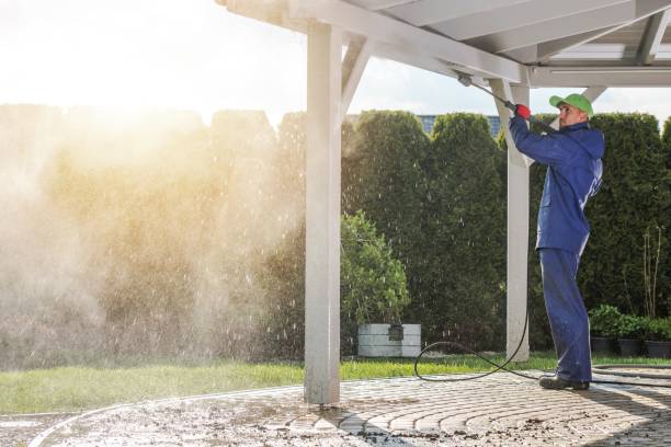 Best Concrete Surface Cleaning in Camp Wood, TX