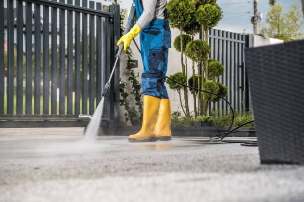 Best Roof Cleaning and Mildew Removal in Camp Wood, TX